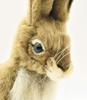 HANSA Jackrabbit Plush Toy, 22x13x30cm, Acrylic, No. 5911