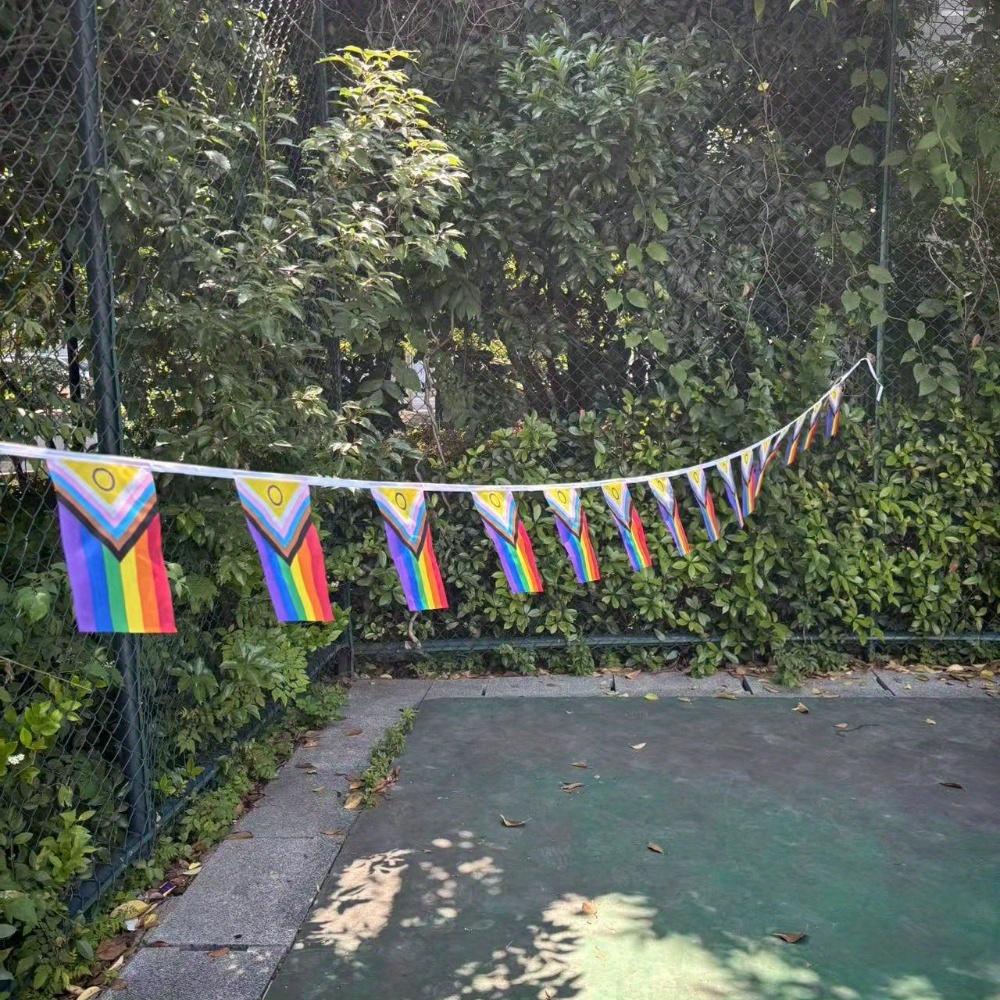 Intersex-Inclusive Progress Rainbow String of Flags Gay Pride LGBT Party Decorations