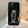 Animal Tiger Phone Case For iPhone 17 Air 16 15 14 13 12 11 Pro Max 12 13 mini 15 16 Plus 16e Cover Coque