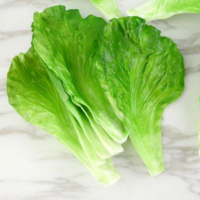 Artificial Lettuce Leaves PVC Material Fake Agriculture Gardening Display for Greenhouse Planting Mature Leaf Display