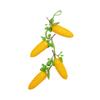 Artificial Corn Strings For Photography Props Home Decor Artificial Garden