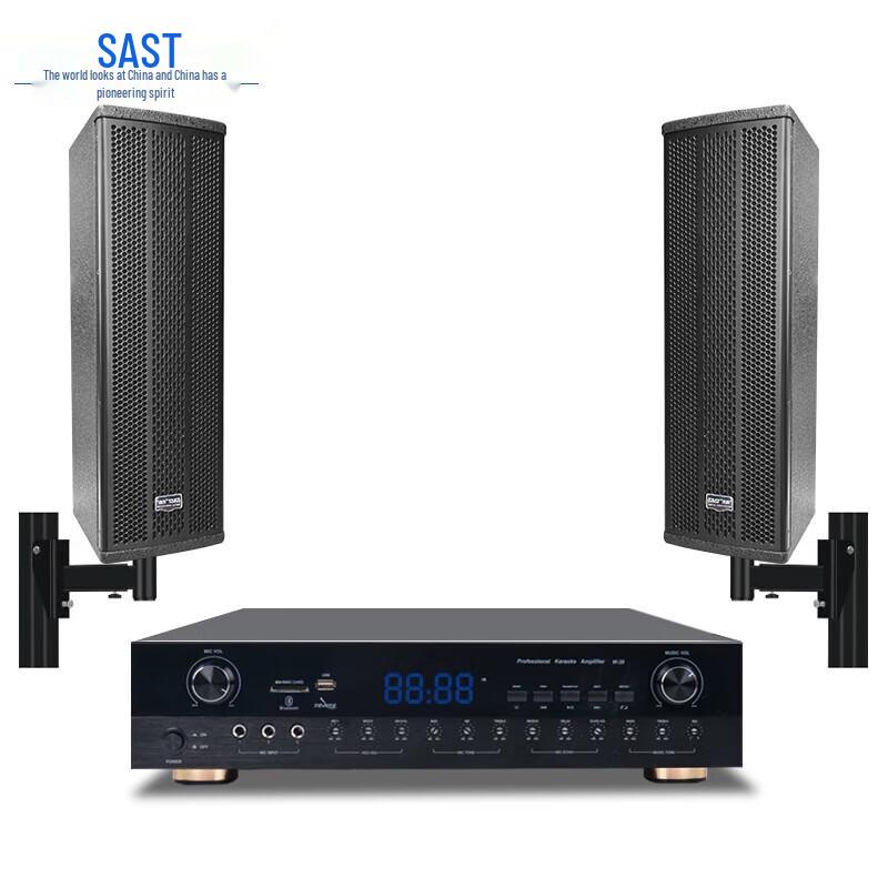 SAST Professional Conference Room Audio System