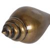 Brass Decorative Shankh Showpiece 12.7 Cm