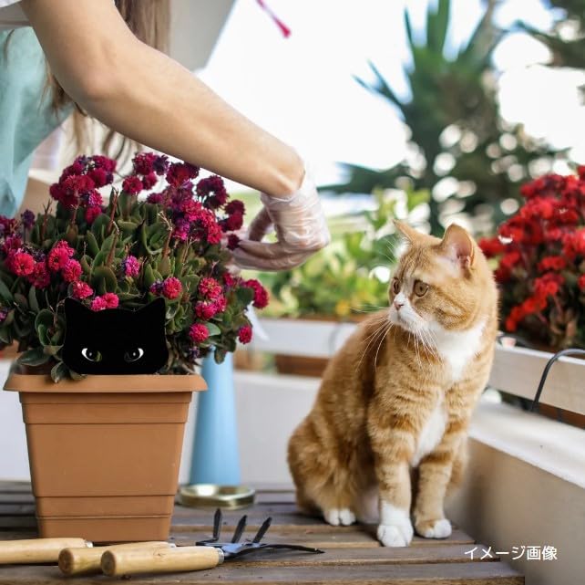 bubulu Black Cat Kuroneko Gardening Garden Garden Gardening of of 2 Black Merchandise, Objects, Accessories, Figurines, Ornaments, [Set 2] (Set Cats)