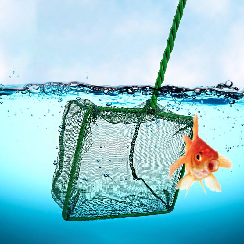 1pc Long Handle Square Fish Net Long Handle Square Accessories Fishbowl Landing Net Fishing Net Outdoors Crab Traps Fishing Tools