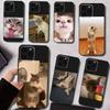 Haustier Katze Lustige Memes Handyhülle Silikon Weich Für IPhone 17 16 15 14 13 12 11 X XR Plus Pro Max Plus