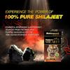 Baidyanath Shilajeet 50 Tabletten für Stärke Ausdauer Energie Vitalität Unterstützung Tägliches Wohlbefinden