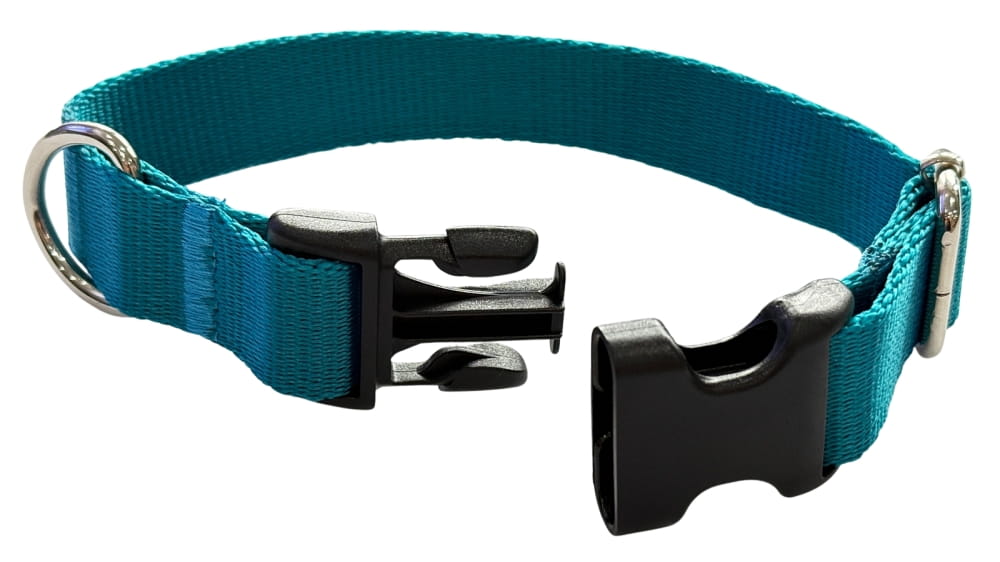 Dog Collar 2 Cm with Buckle Adjustable Turquoise Fasten Dog Collar 2 Cm with Buckle Adjustable Turquoise Fasten XS: 20-28cm