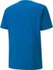 Y4456 PUMA MEN'S T-SHIRT teamGOAL 23 Casuals Tee 656578 men's t-shirt L