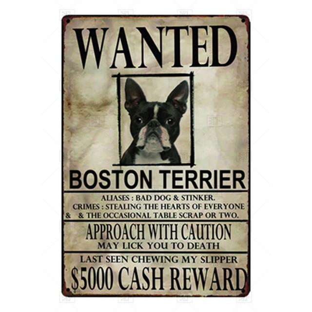 Targa Metallo Vintage Per Cani - Poster In Alluminio 30x20 Cm Per Arredamento Casa - 5