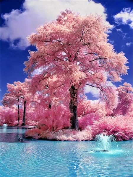 Full Square Round Diamond Painting Kit Cherry Blossoms Tree Diy Embroidery Mosaic Building Landscape Home Decor