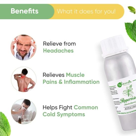Naturalis Peppermint Oil – Pure Therapeutic Grade Peppermint Essential Oil for Hair, Skin Care, Steaming, Diffuser & Aromatherapy- 250Ml