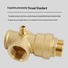 Automatic Pressure Switch & Copper Check Valve for Frequency Conversion Water Pump