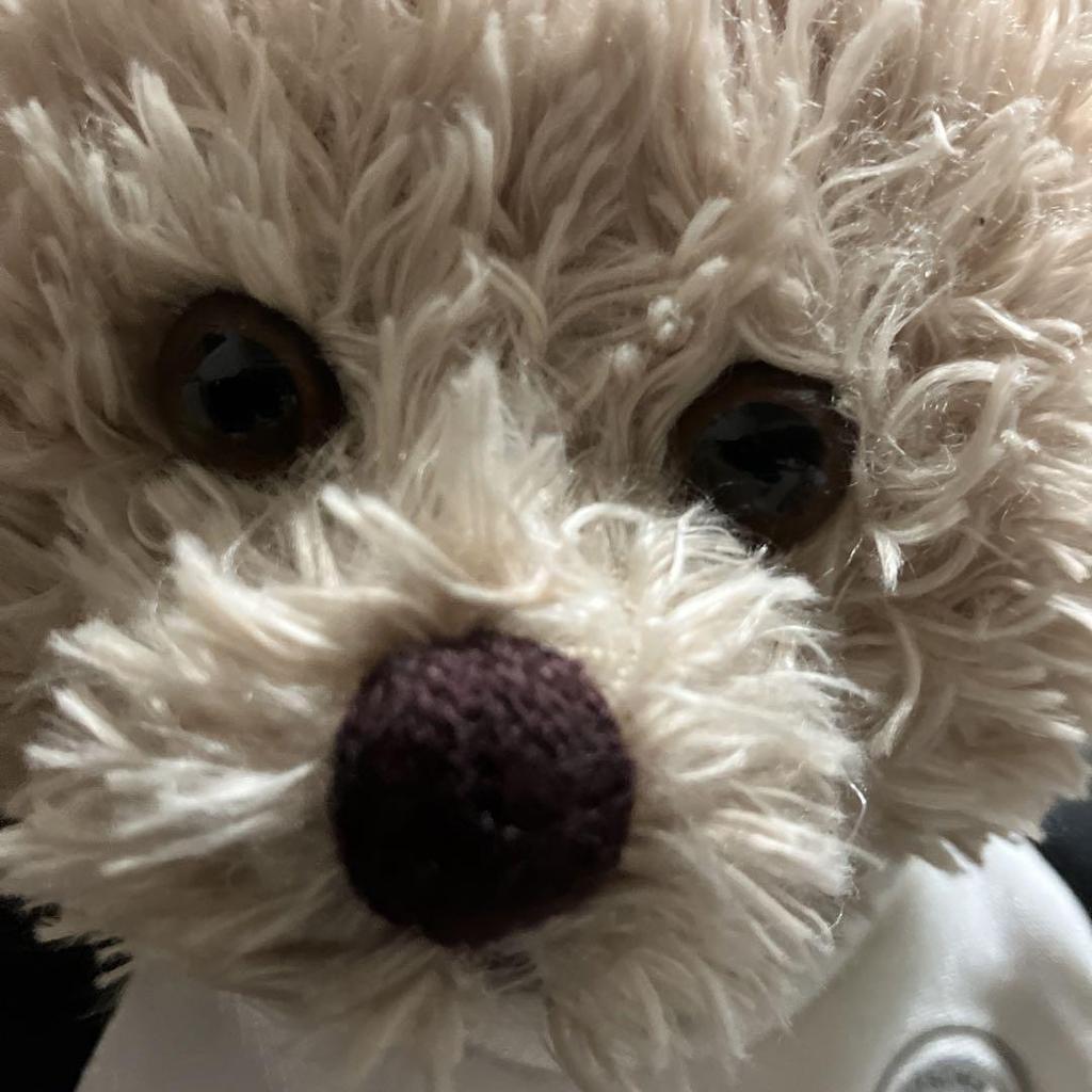 [USED] German-made Teddy Bear, Stuffed Animal, Bear, German Football Association Bremen GmbH