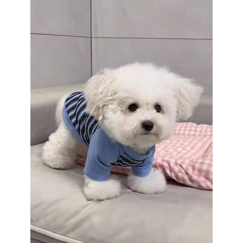 Dog clothes early autumn new elastic striped shirt bipod small dog bichon teddy pet autumn and winter bottoming shirt