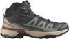 Hiking Shoes Salomon X Ultra 360 Mid GTX Phantom/desert Tan/rum Raisin