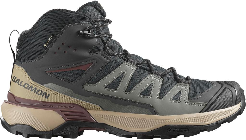 Hiking Shoes Salomon X Ultra 360 Mid GTX Phantom/desert Tan/rum Raisin