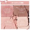 Official Japanese JUDYDOLL Selfish Cheek Highlighter Chinese Cosmetics Cheek Palette Matte Highlighter Multi-Palette (06 Fluffy Face Hazel Mocha, 9g)