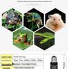 Ceramic Heat Lamp for Reptiles: No-Light Terrarium Heater with Temperature Control for Tortoises and Lizards.