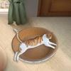 Cardboard Cat Scratcher Bed Scratch Pad Nest Couch Furniture Protector, Round Lounge Scratching