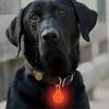 Dog tag walking dog round anti-lost luminous hanging tag for dogs Anti-lost dog luminous hanging tag