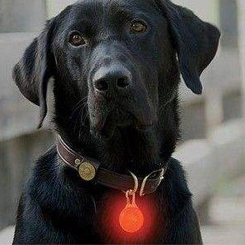 Dog tag walking dog round anti-lost luminous hanging tag for dogs Anti-lost dog luminous hanging tag