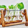 Hydroponic Vase Glass Transparent with Wooden Stand Creative Simple Desktop Green Plant Cultivation Container Home Decoration Or