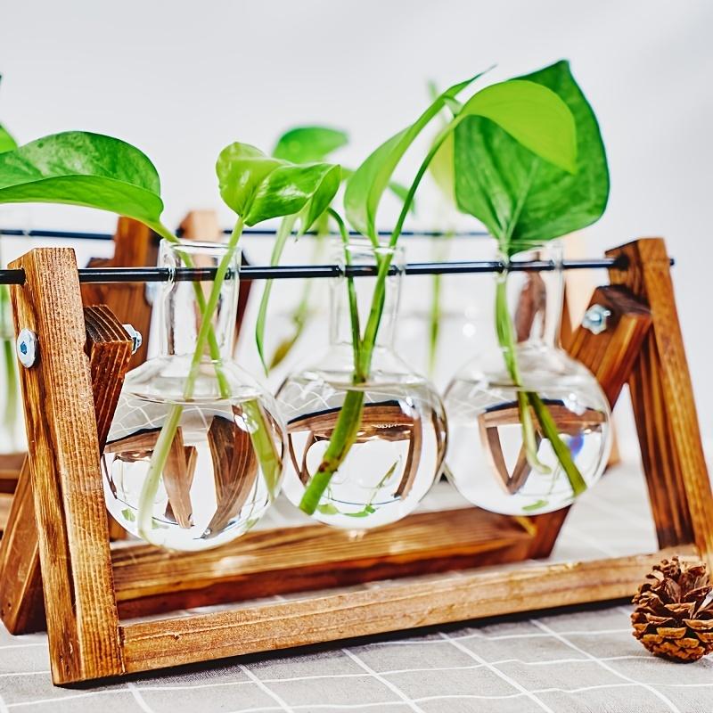 Hydroponic Vase Glass Transparent with Wooden Stand Creative Simple Desktop Green Plant Cultivation Container Home Decoration Or