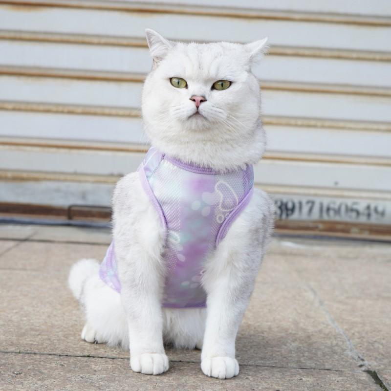 Pet Cat Vest Breathable Mesh Ragdoll British Shorthair Devon Rex Cats Small To Extra Large Sizes