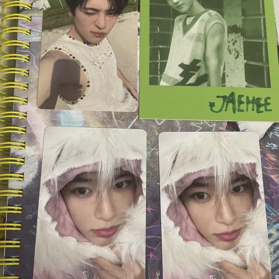 Ncitywish Color Photobook Zion