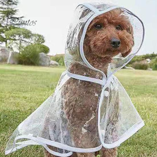 Vêtements de pluie transparents pour animaux de compagnie Imperméable Boutons-pression Capuche Minimaliste Réglable Chien Coupe-vent Doux Équipement de pluie Fourniture