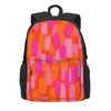Dragons Ball Anime Song Goku Lunch Box For Women  Work Print Lunch Box Retro Oxford Thermal Tote Handbags Suitable for All Ages