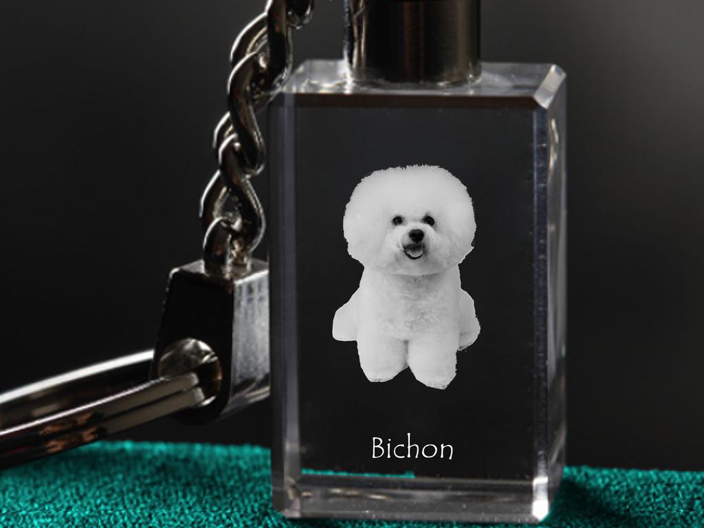 Bichon Frise, Bichon Tenerife, Bichon a Poil Frise - Crystal Key Ring with Dog Photo, Illuminated Key Ring, Unique Gift by Art-Dog Brand