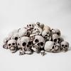Halloween Skull Head Decor Plastic Realistic Human Skull Figurine for Graveyard Scene Haunted House Bar Home Table Decorations