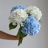 Moisturizing Large Hydrangea Hotel Decoration Flower Arrangement Wedding Arrangement Fake Flower Wholesale Film Hydrangea