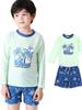 2026 Boys' Sun Protection Swimwear: Two-Piece Kids' Swimsuit & Trunks