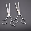 Professional Barber & Pet Hairdressing Scissors - Split Ends & Thinning Tools