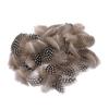 Set of 50 Pheasant Rooster Feathers Chicken Feathers Costume Millinery Craft