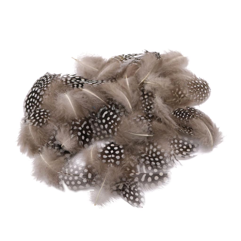 Set of 50 Pheasant Rooster Feathers Chicken Feathers Costume Millinery Craft