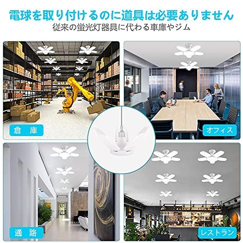 Garage Light, Floodlight, LED Work Light, Replacement Bulb, LED Clip Light, Construction Lighting, LED Ceiling Light, E26 LED Bulb, 6-Bulb Set, 80W, D