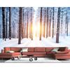 Modern Fashion Wallpaper Winter Snow Scene Wallpaper 3d Living Room Mural Home Decoration