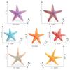 Lifelike Five-point Starfish Figurine Pvc Static Model Perfect For Beach Theme Decor