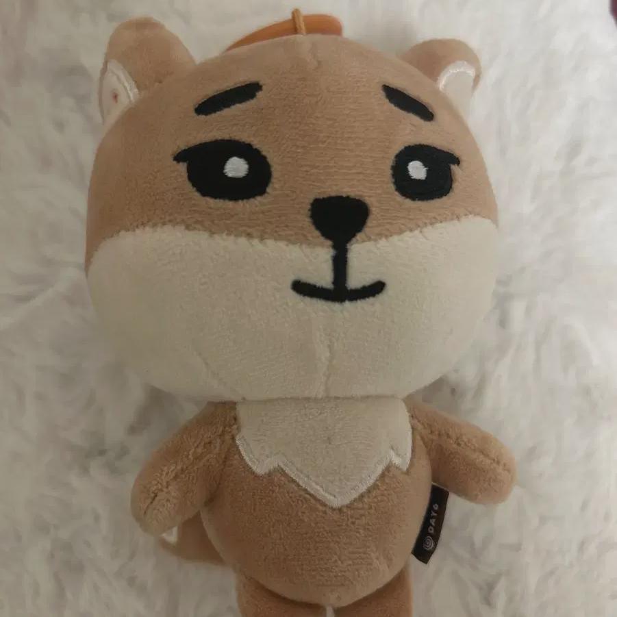 

DAY6 Денималс 24к