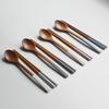 Romwood Candy Pastel Wooden Spoon Set