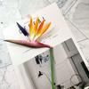 Artificial Flower Bird Of Paradise Fake Plant Silk Strelitzia Reginae Home Decor Dried Flowers Hot Room Decor Home Accessories