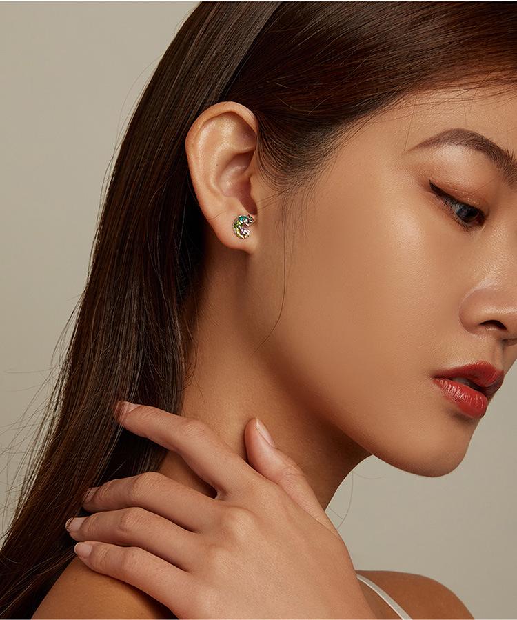 Yin Ziyun Platinum-Plated Chameleon Earrings: Cute Animal S925 Silver for Men & Women - Model BSE587