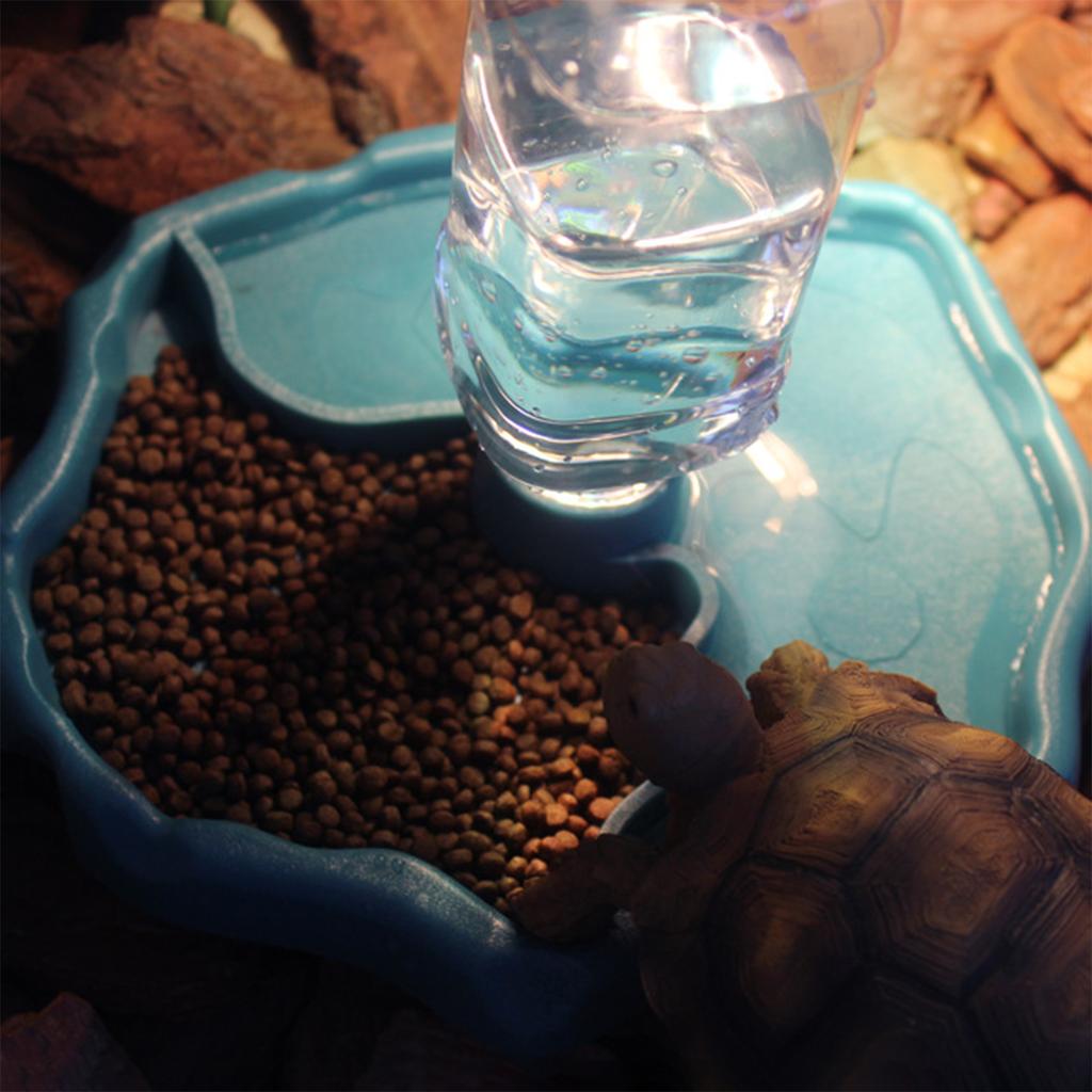 1 Stück Reptilienfutterspender Tränke Automatische Nachfüllung Schildkröten-Wasserspenderflasche Schildkröten-Futter-Wassernapf Futternapf Für Eidechsen