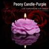 Rose-Scented Long-Lasting Romantic Candles for Low-Temperature Aromatherapy and Sensual Foreplay