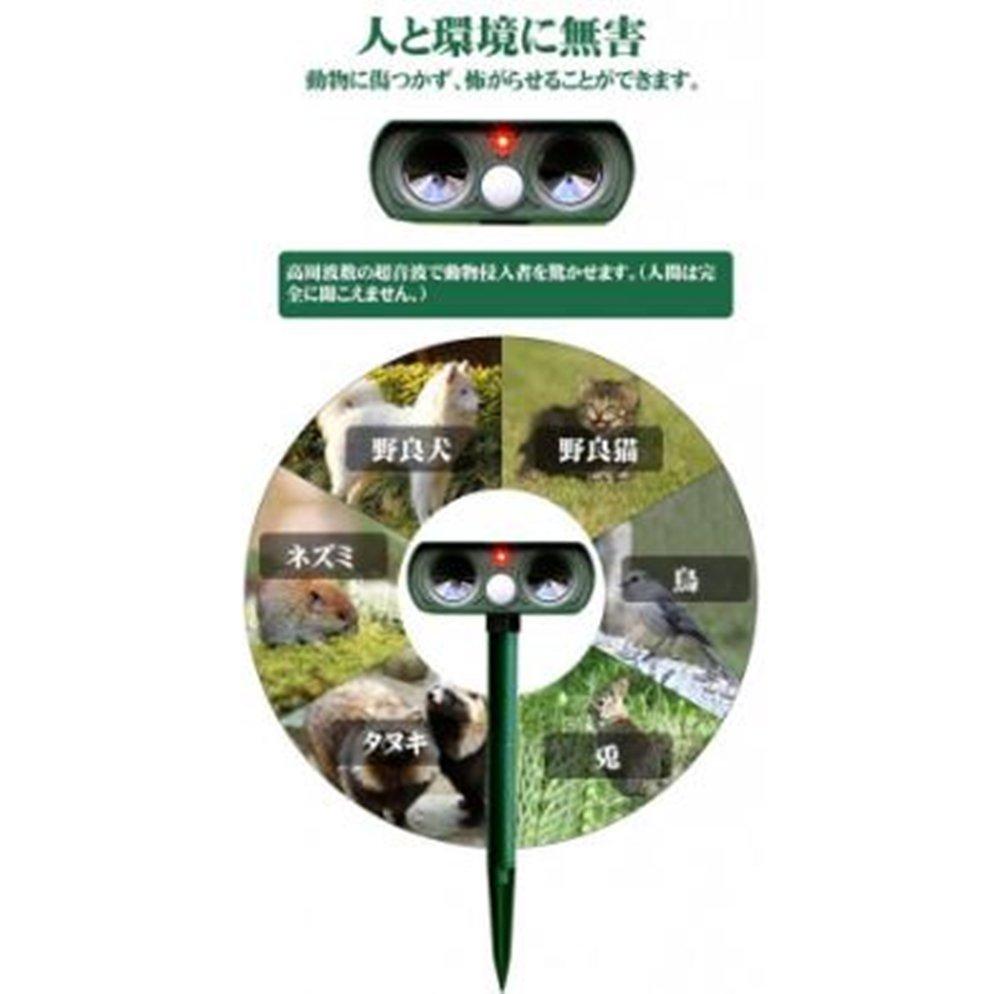 OUGUAN Ultrasonic Cat Set of Pest Bird Cat and Dog LED Repels Bird and Pest Control Device for Garden Protection Repellent, 2, Solar-Powered,