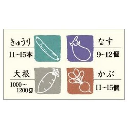 Risu Instant Pickle Container, Square, Green, 4L, Hi-Pet, Recipe Included, Made in Japan, S-40